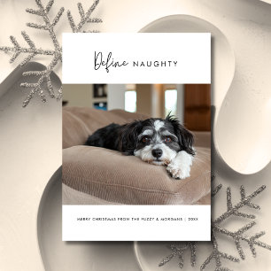 書道犬のいけなクリスマスペットの写真を定義 シーズンカード