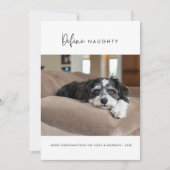 書道犬のいけなクリスマスペットの写真を定義 シーズンカード (正面)