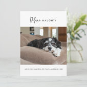 書道犬のいけなクリスマスペットの写真を定義 シーズンカード (スタンド正面)