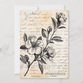 書道素朴付きフローラスケッチ – 古い(2) (正面)