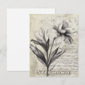 書道素朴付きフローラスケッチ – 古い(3) (正面/裏面)