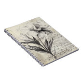 書道素朴付きフローラスケッチ – 古い(3) ノートブック (右側)