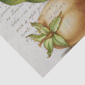 書道（トンボ、カーネーション、梨）  薄葉紙 (詳細)