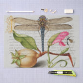 書道（トンボ、カーネーション、梨）  薄葉紙 (クラフト)