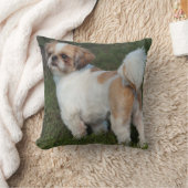 最もかわいいシーズー（犬） Tzu クッション (ブランケット)