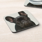 最もかわいいフレンチ・ブルドッグの子犬 コースター (左側)