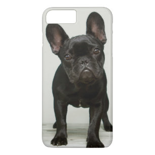 最もかわいいフレンチ・ブルドッグの子犬 iPhone 8 PLUS/7 PLUSケース