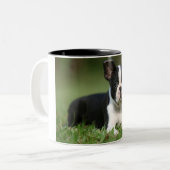 最もかわいいボストンテリアの写真のマグ ツートーンマグカップ (正面左)