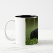 最もかわいいボストンテリアの写真のマグ ツートーンマグカップ (左)