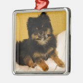 最もかわいいポメラニア犬 メタルオーナメント (左)