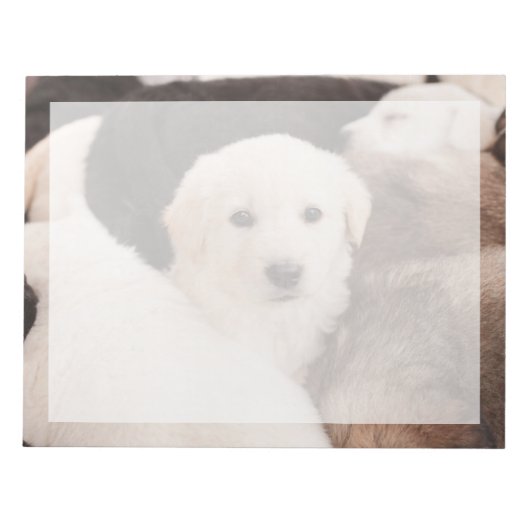 最もかわいい赤ちゃん動物たち | かわいい子犬の山 ノートパッド (正面)