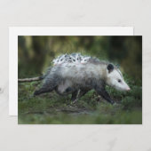 最もかわいい赤ちゃん動物 | カンガルーハロー親子 サンキューカード (正面/裏面)