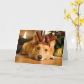 最もかわいい赤ちゃん動物 | コーギーによるクリスマスツリーのトナカイ カード (黄色い花)