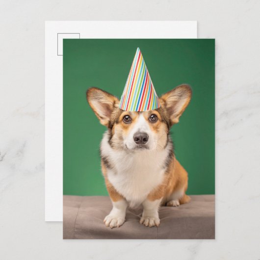 最もかわいい赤ちゃん動物 | コーギーの誕生日子犬 ポストカード (正面/裏面)