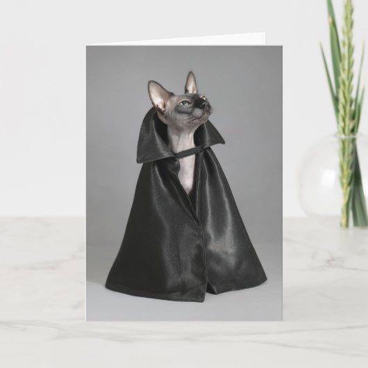 最もかわいい赤ちゃん動物 | スフィンクス 髪の生えない猫 カード (正面)