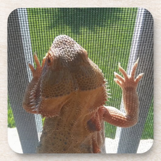 最もかわいい髭があるドラゴンの写真のプリント コースター (正面)