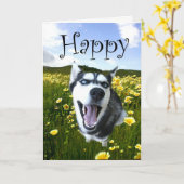 最もかわいくハスキーな犬のハッピーバースデーカード カード (黄色い花)