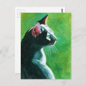 最も人気がある多い ポストカード (正面/裏面)