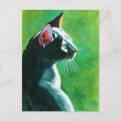 最も人気がある多い ポストカード (正面)