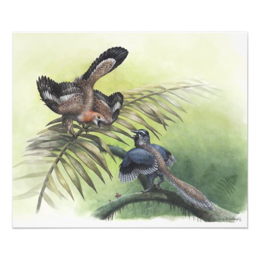 最も古い鳥 フォトプリント            (正面)