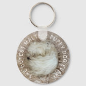 最も可愛いマルチーズ子犬 キーホルダー (裏面)