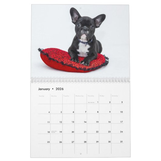 最も可愛い子犬のコレクションが新年を迎える カレンダー (1月 2026)