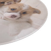 最も可愛い赤ん坊の動物 |かわいいコギの子犬のポット カッティングボード (角)