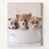 最も可愛い赤ん坊の動物 |かわいいコギの子犬のポット ノートブック (裏面)