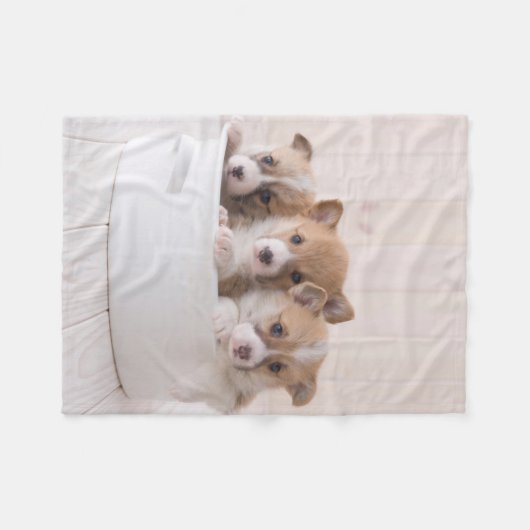 最も可愛い赤ん坊の動物 |かわいいコギの子犬のポット フリースブランケット (正面(横))