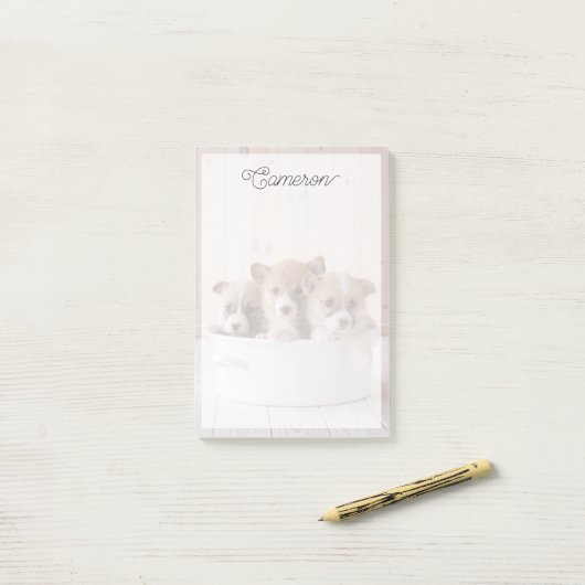 最も可愛い赤ん坊の動物 |かわいいコギの子犬のポット ポストイット (デスク上)