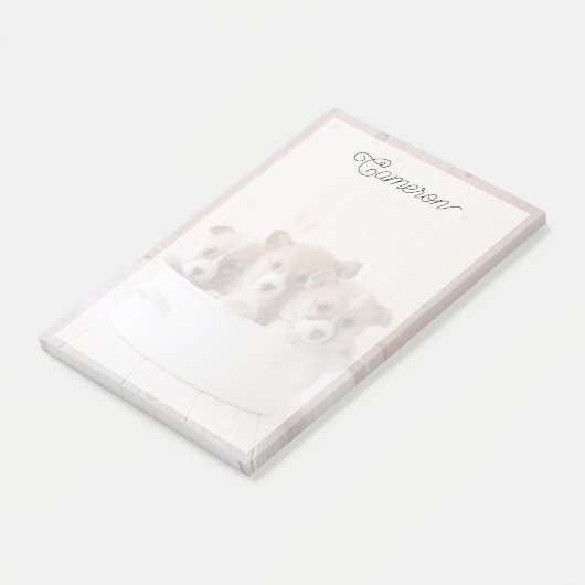 最も可愛い赤ん坊の動物 |かわいいコギの子犬のポット ポストイット (アングル)