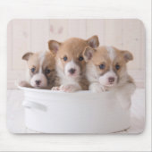 最も可愛い赤ん坊の動物 |かわいいコギの子犬のポット マウスパッド (正面)