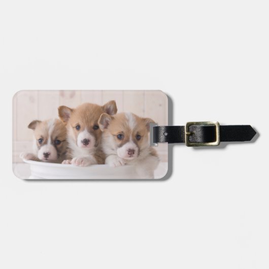最も可愛い赤ん坊の動物 |かわいいコギの子犬のポット ラゲッジタグ (正面横)