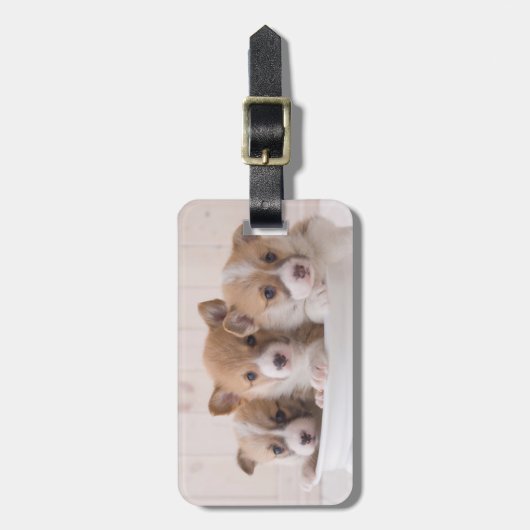 最も可愛い赤ん坊の動物 |かわいいコギの子犬のポット ラゲッジタグ (正面縦)