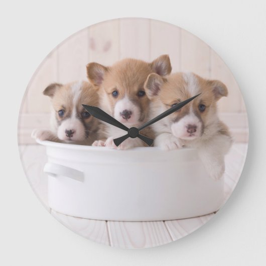 最も可愛い赤ん坊の動物 |かわいいコギの子犬のポット ラージ壁時計 (正面)