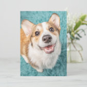 最も可愛い赤ん坊の動物 |かわいいコーギパピースマイル サンキューカード (スタンド正面)