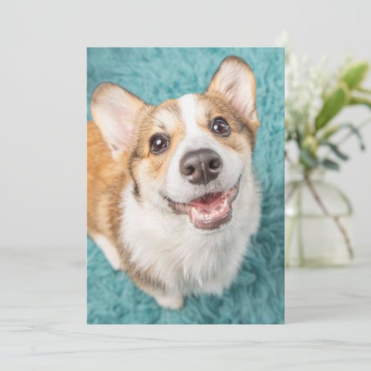 最も可愛い赤ん坊の動物 |かわいいコーギパピースマイル サンキューカード (スタンド正面)