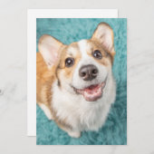 最も可愛い赤ん坊の動物 |かわいいコーギパピースマイル サンキューカード (正面/裏面)