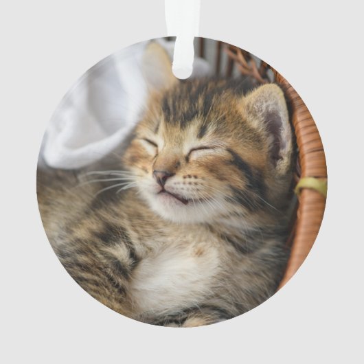 最も可愛い赤ん坊の動物 |かわいいタビー猫が眠る オーナメント (裏面)