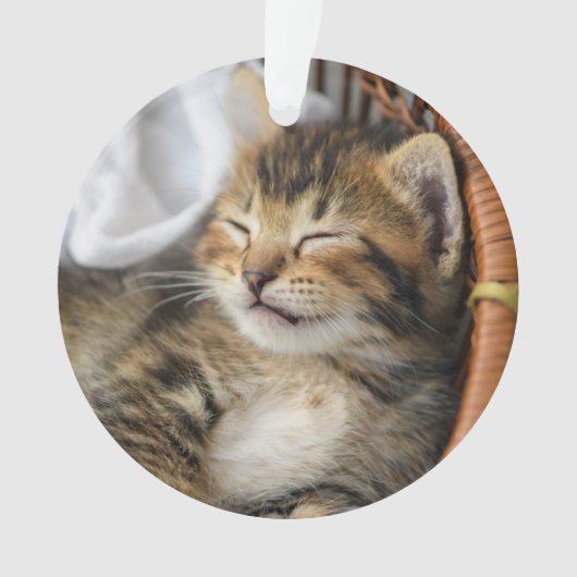 最も可愛い赤ん坊の動物 |かわいいタビー猫が眠る オーナメント (正面)