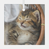 最も可愛い赤ん坊の動物 |かわいいタビー猫が眠る ガラスオーナメント (正面)