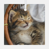 最も可愛い赤ん坊の動物 |かわいいタビー猫が眠る ガラスオーナメント (裏面)