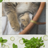 最も可愛い赤ん坊の動物 |かわいいタビー猫が眠る キッチンタオル (折り畳み)