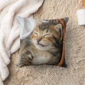 最も可愛い赤ん坊の動物 |かわいいタビー猫が眠る クッション (ブランケット)