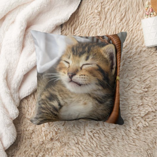 最も可愛い赤ん坊の動物 |かわいいタビー猫が眠る クッション (ブランケット)