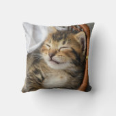 最も可愛い赤ん坊の動物 |かわいいタビー猫が眠る クッション (裏面)
