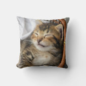最も可愛い赤ん坊の動物 |かわいいタビー猫が眠る クッション (正面)