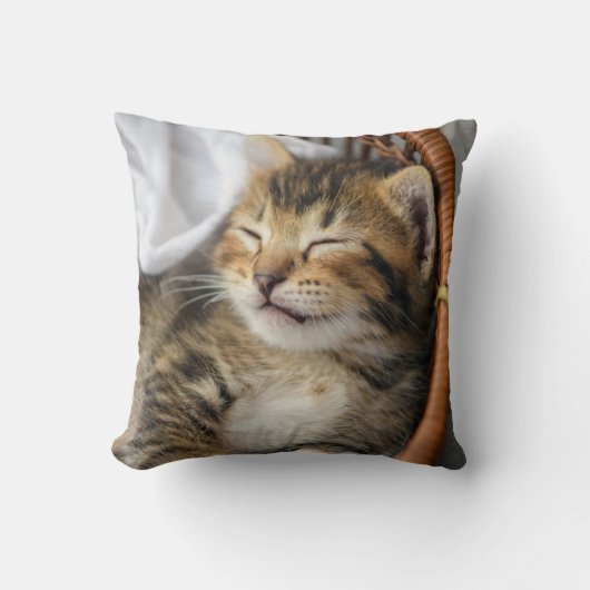 最も可愛い赤ん坊の動物 |かわいいタビー猫が眠る クッション (正面)