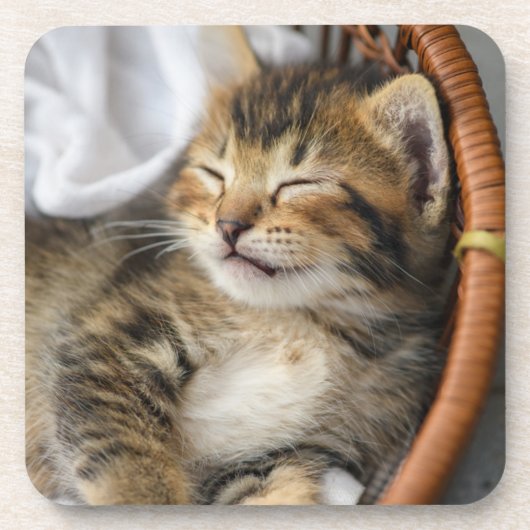 最も可愛い赤ん坊の動物 |かわいいタビー猫が眠る コースター (正面)