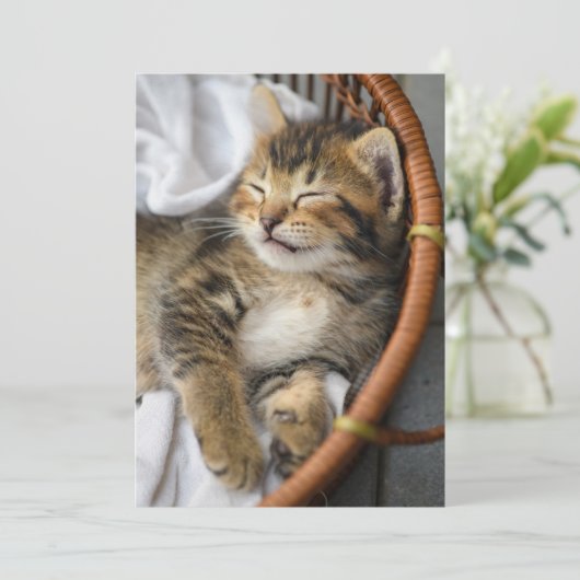 最も可愛い赤ん坊の動物 |かわいいタビー猫が眠る サンキューカード (スタンド正面)